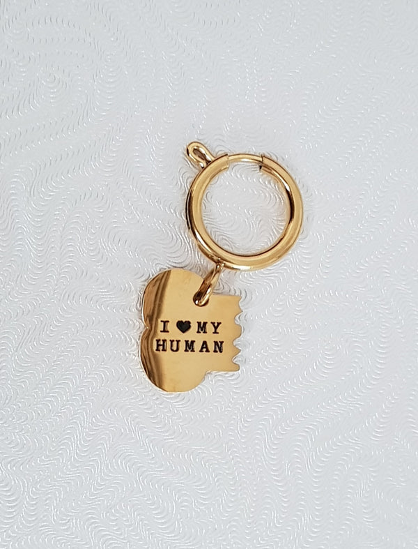 Dog Tag Best friends